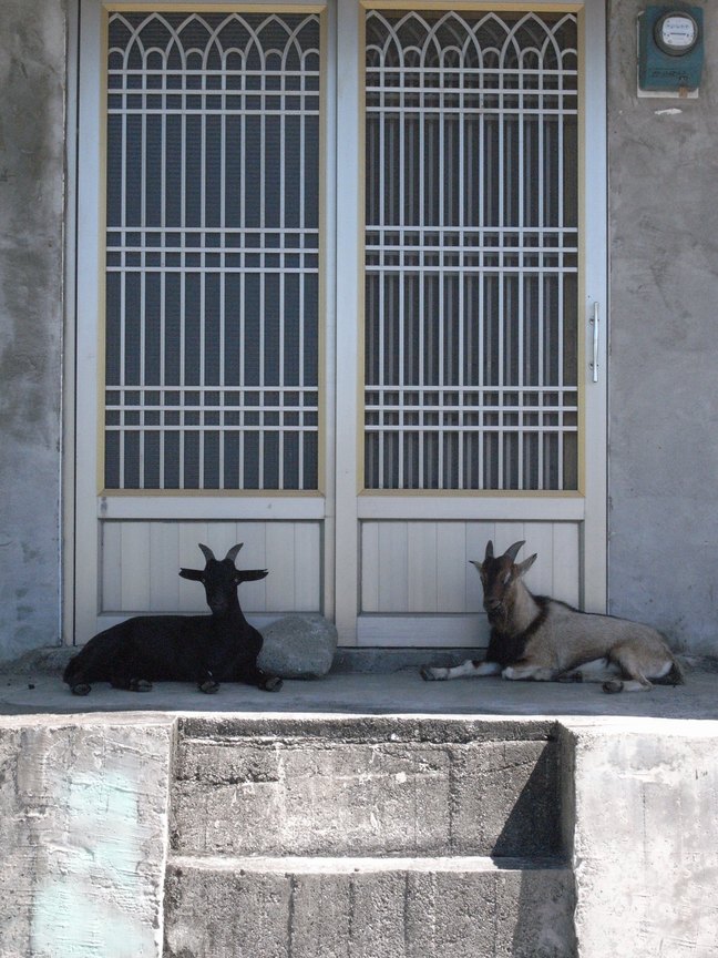 山羊=門神