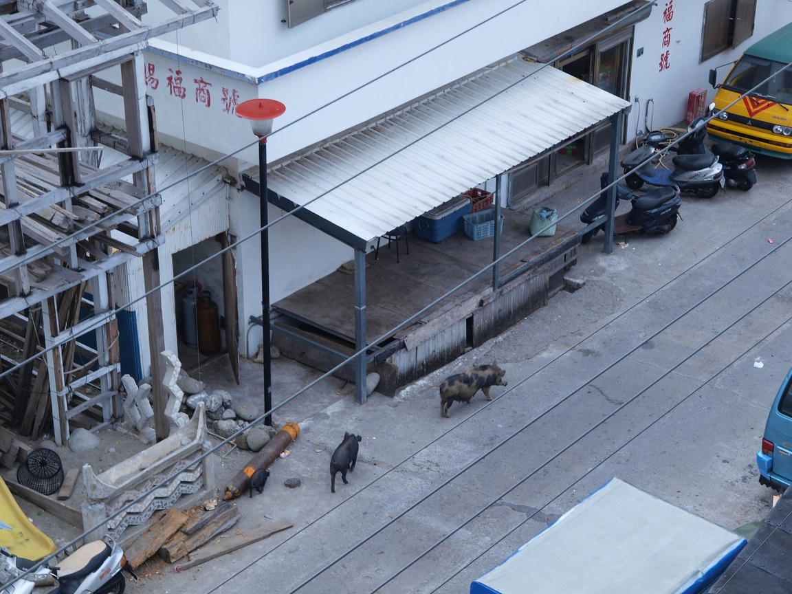 早晨的街頭一景