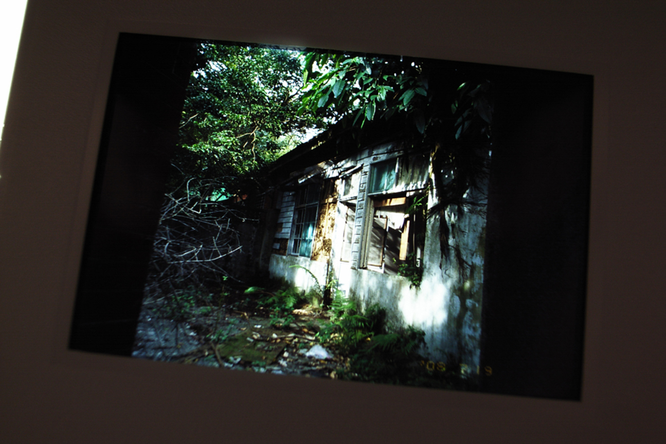 遊玩 無不一處驚奇