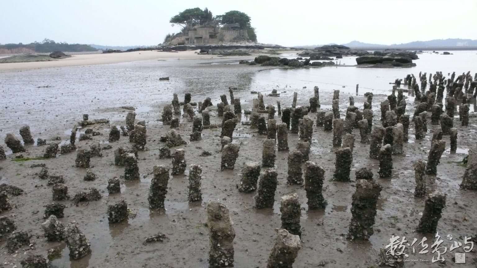 滿手的蚵仔是我贈予妳的情人節禮物