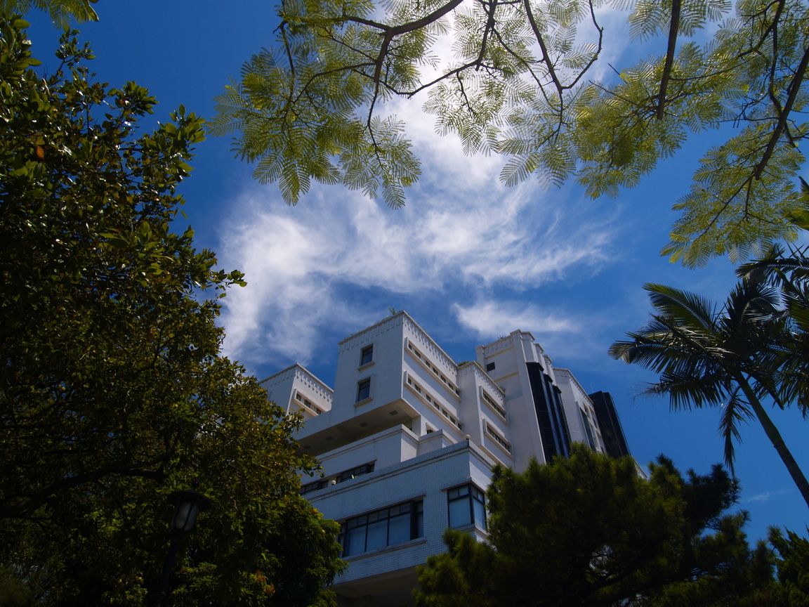 樹叢間的知識寶庫