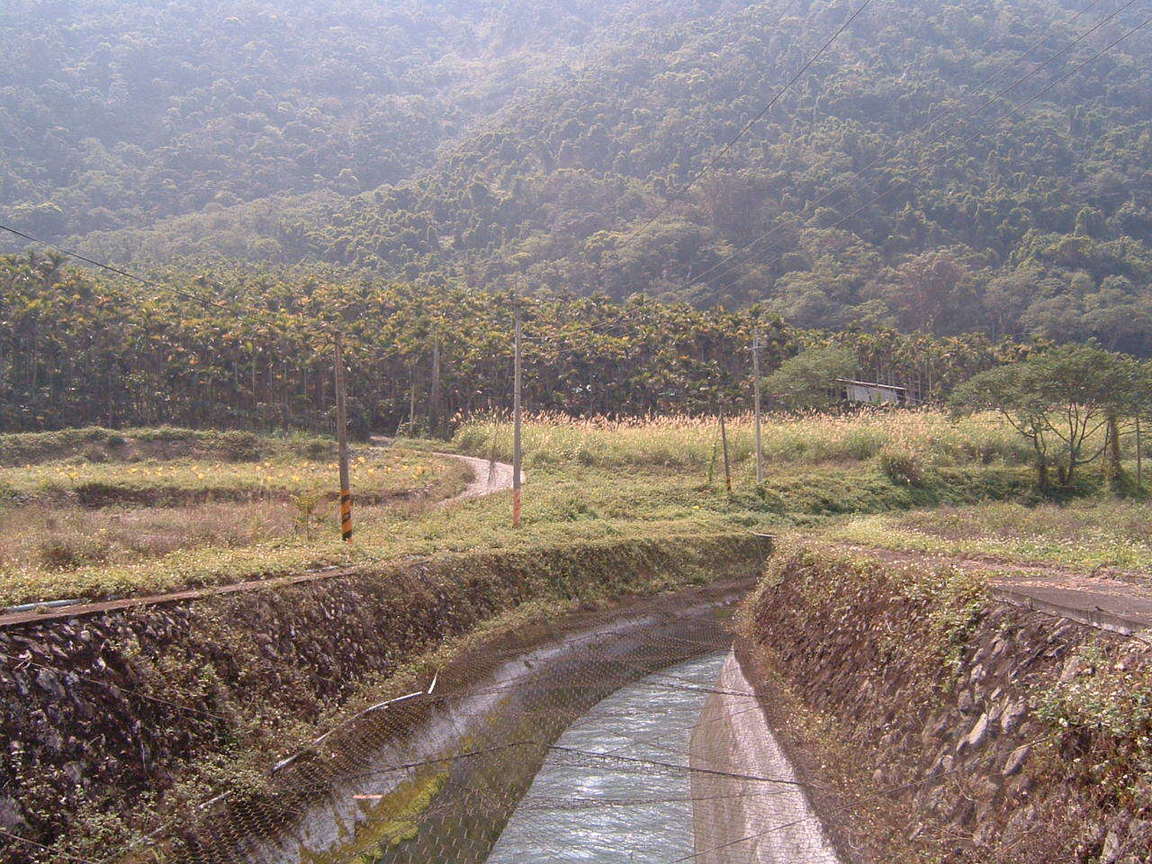 向天圳一景