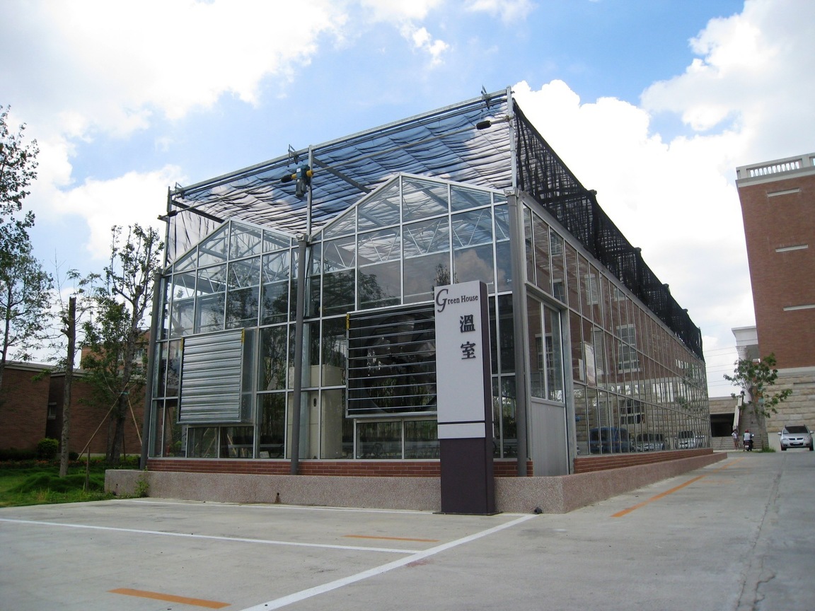 一室陽光  溫暖自知