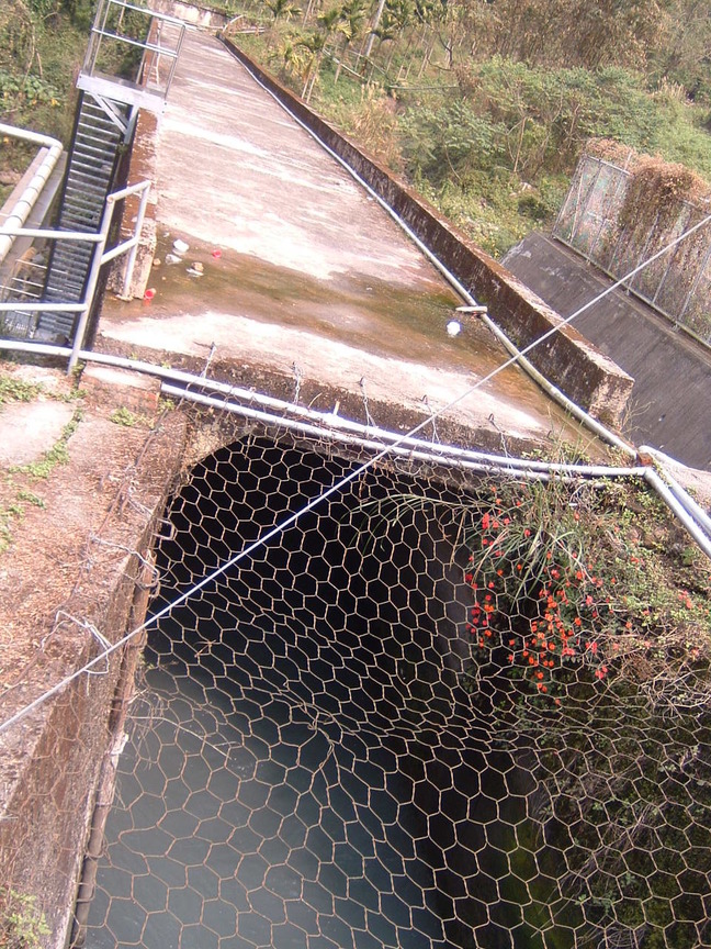 向天圳
