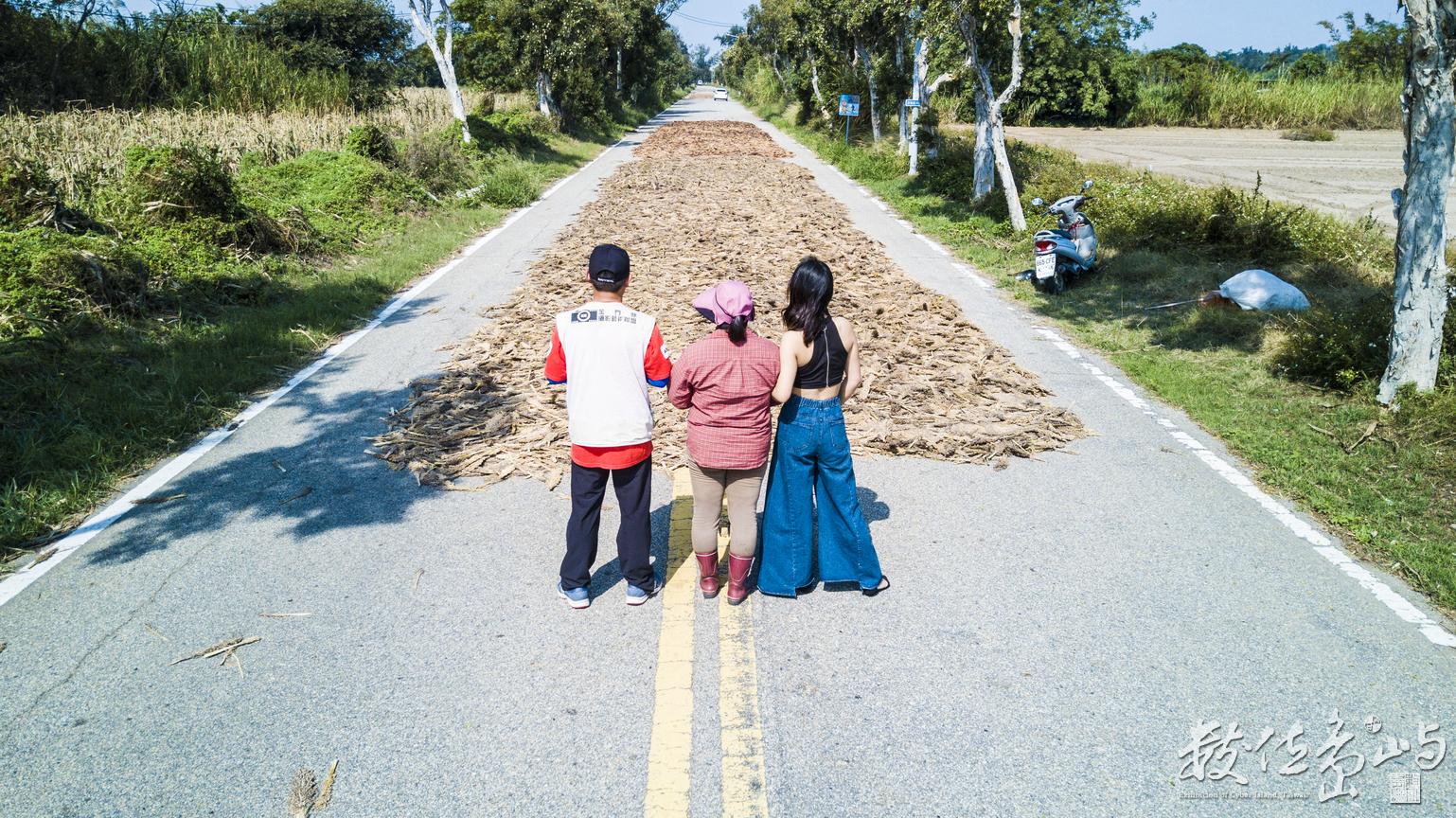 日頭正在好 就是要壓高粱