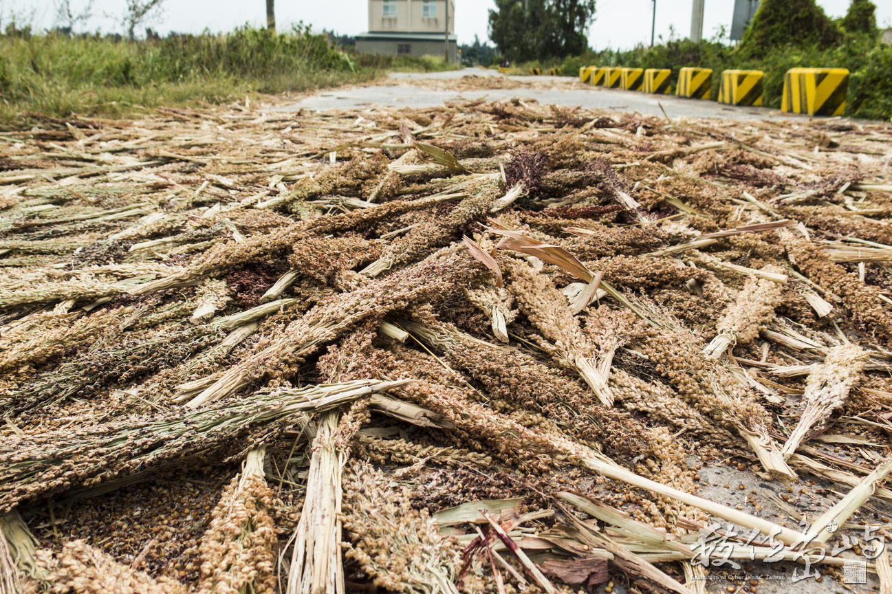 壓馬路順便壓高粱米