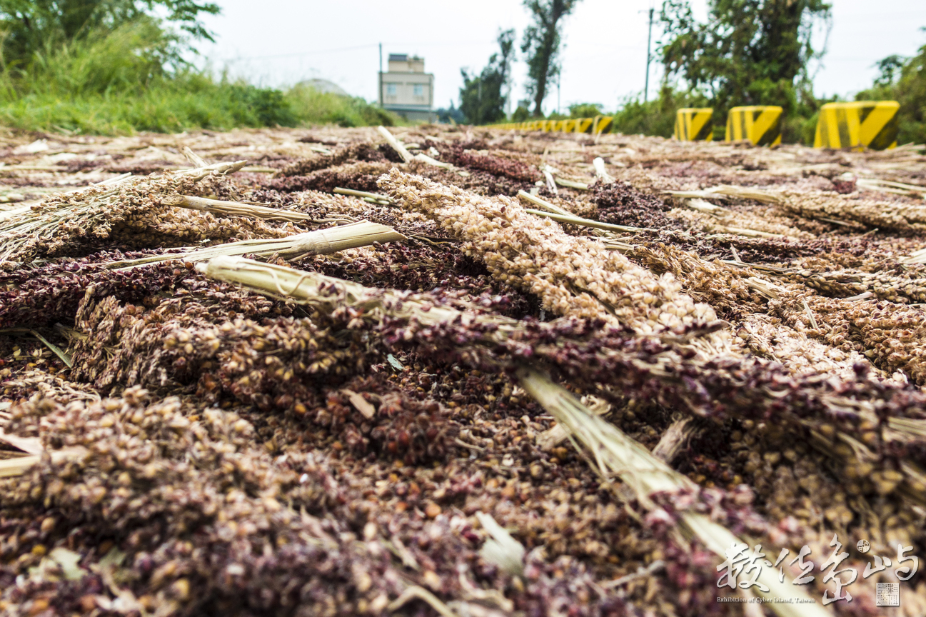 壓馬路順便壓高粱米
