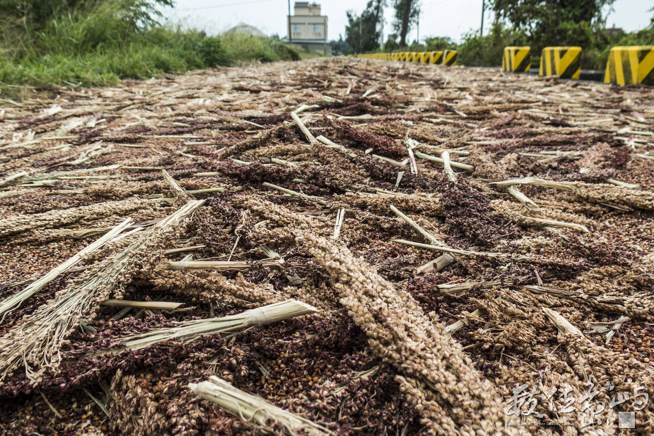 壓馬路順便壓高粱米