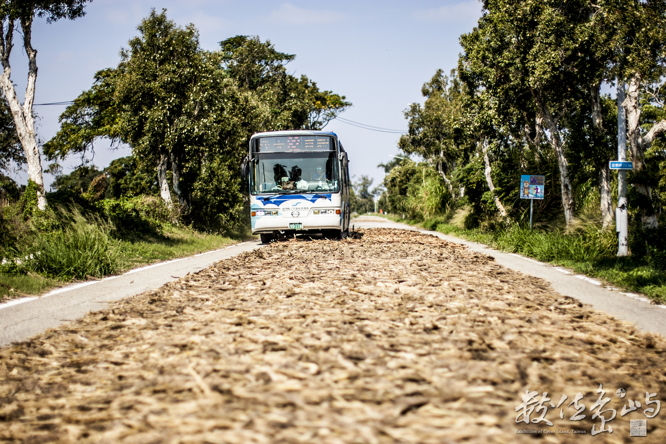 日頭正在好 就是要壓高粱