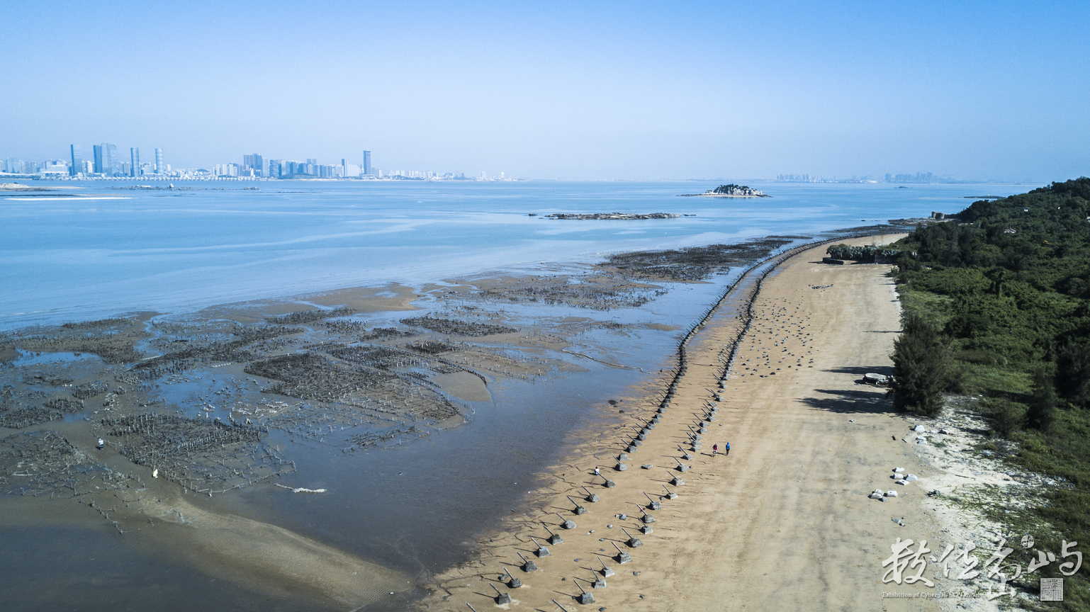 2018來去烈嶼拔芋頭