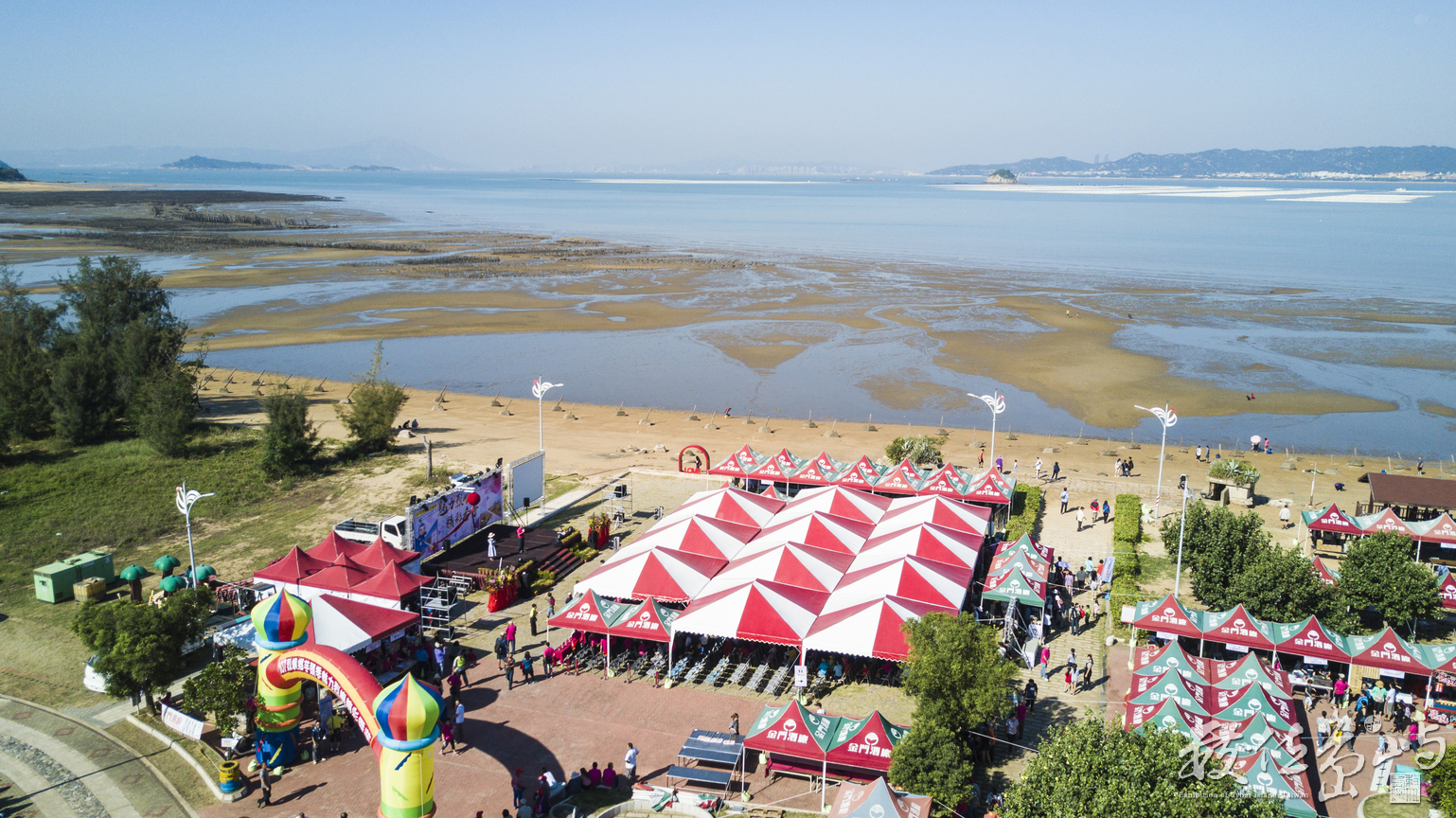 2018來去烈嶼拔芋頭