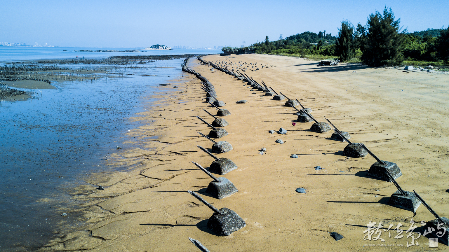 2018來去烈嶼拔芋頭