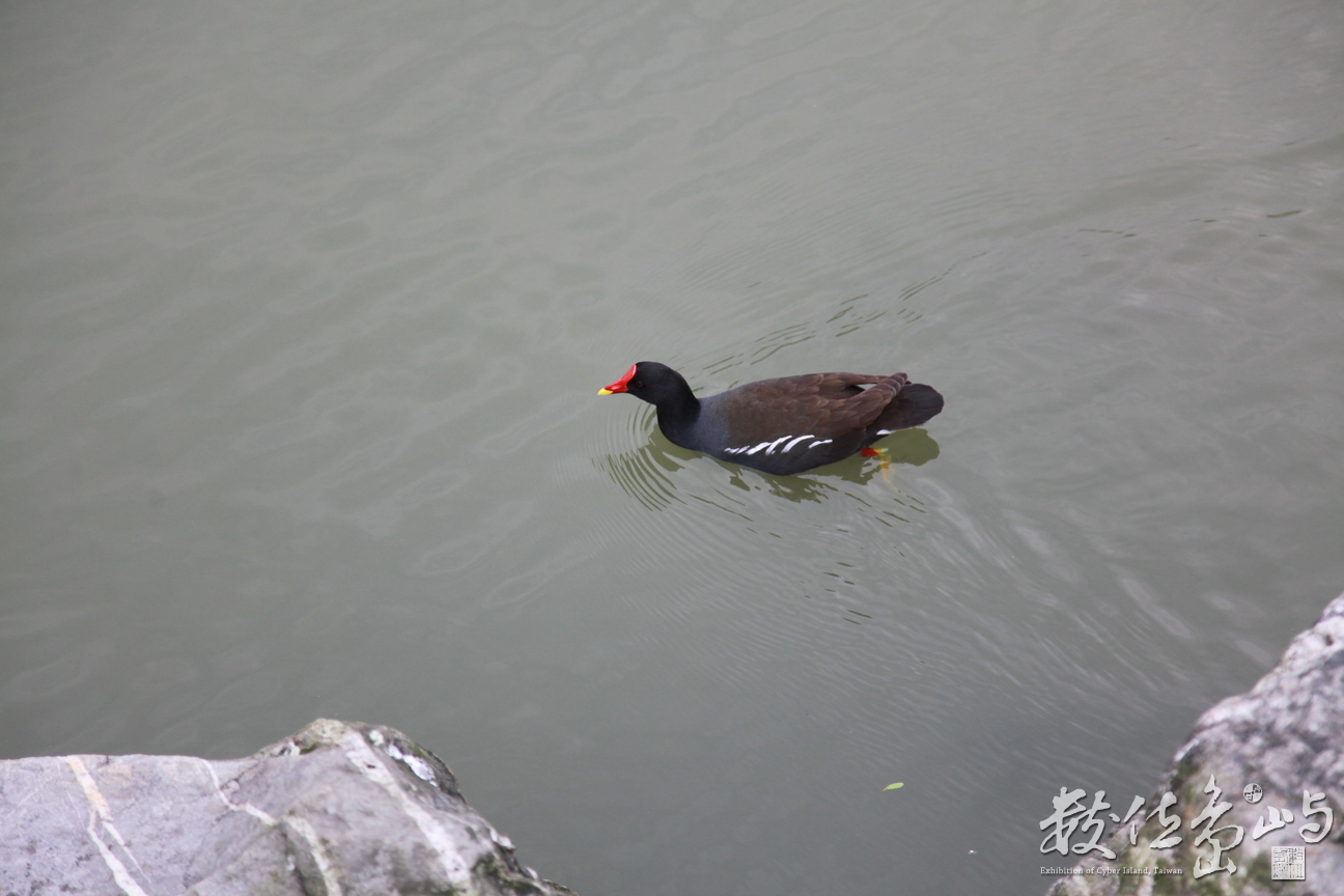 2016年0320台北_13.JPG