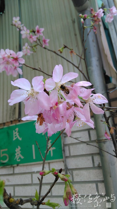 2016年0326台北_06.jpg