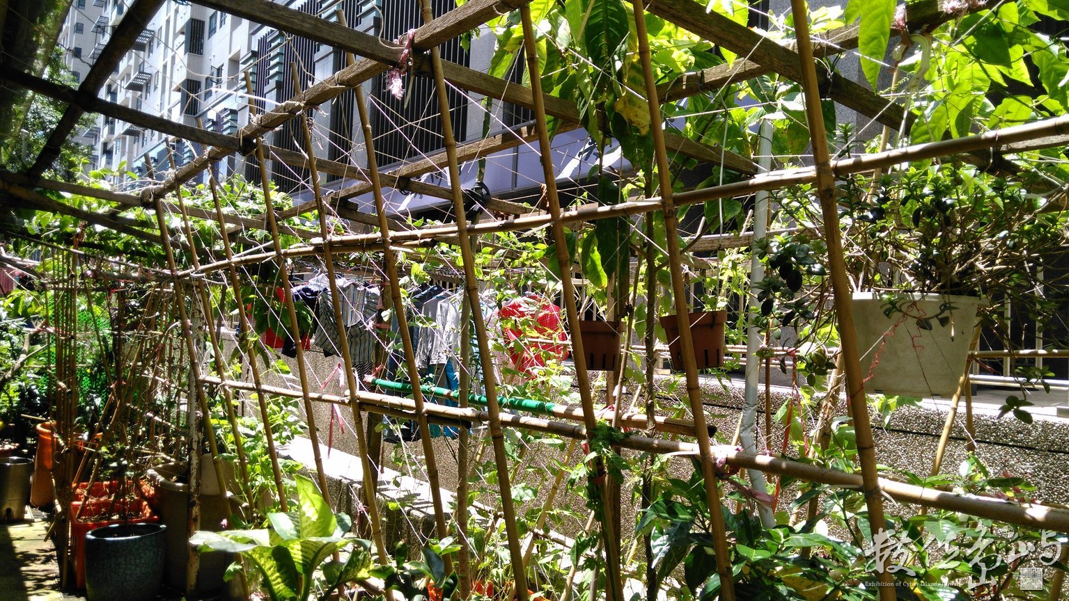 2016年0604台北_02.jpg