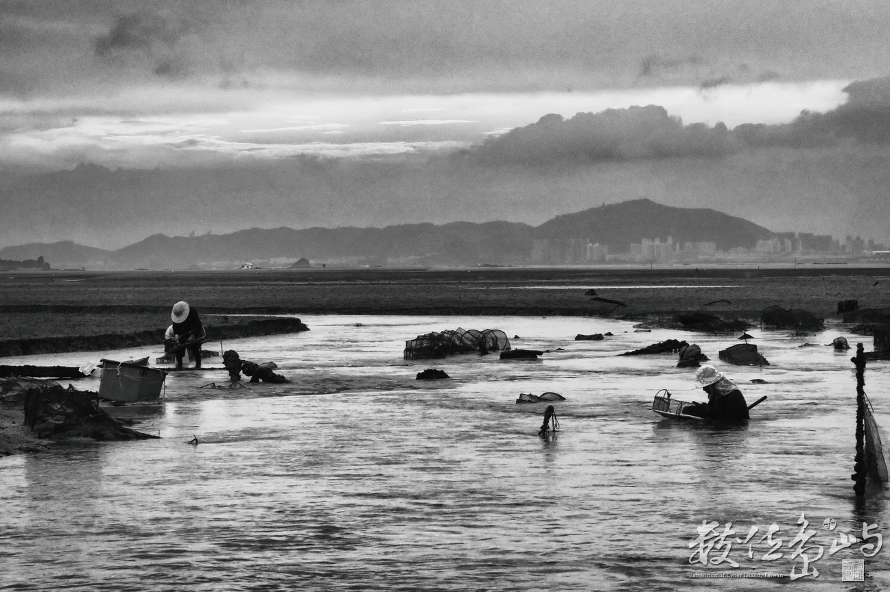 水底撈海產之阿姨的手比聲納更好用