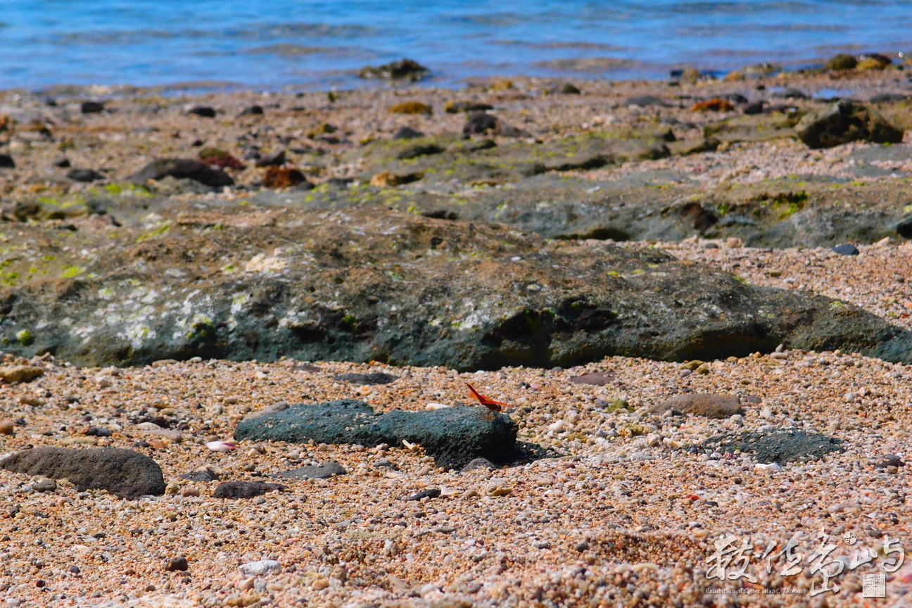 20160623拍攝於望安003