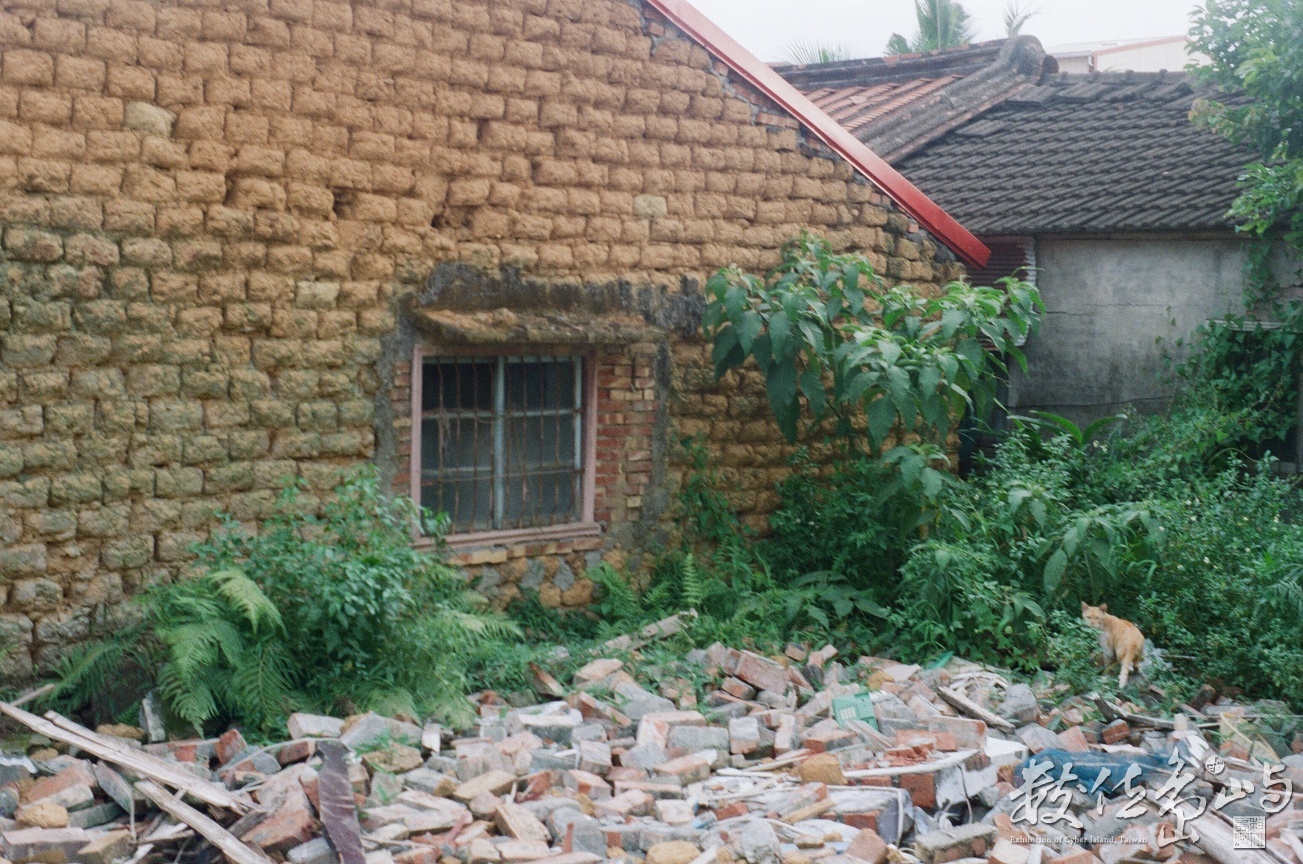 土角厝旁的貓咪