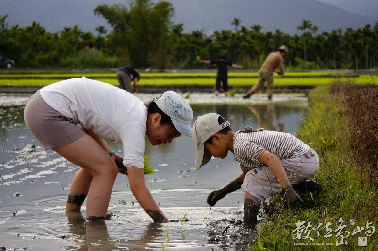 一起種下新生命