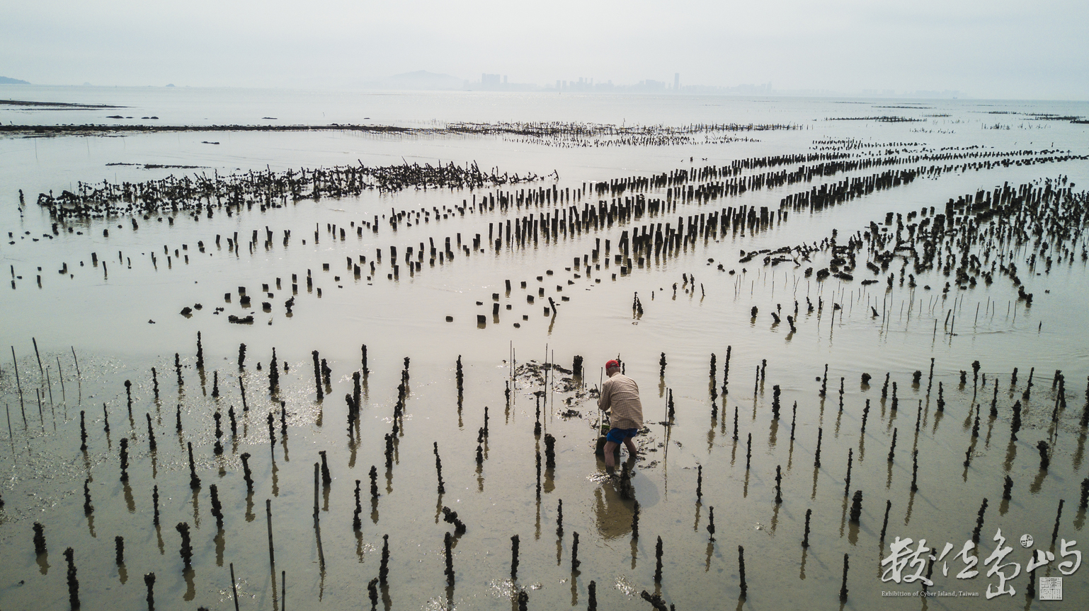 浯島地表最強的採蚵人