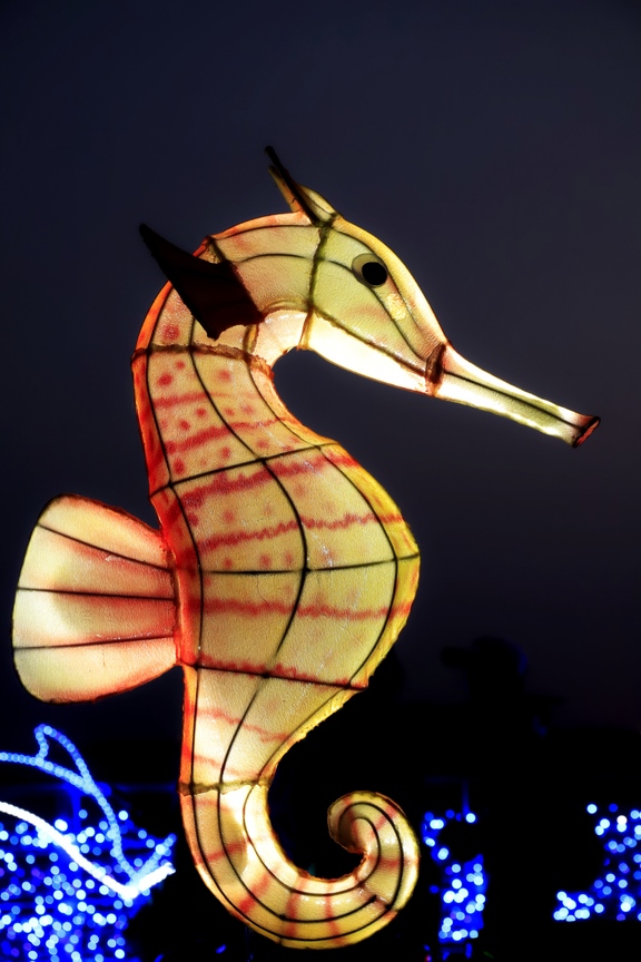 2019台灣燈會在屏東