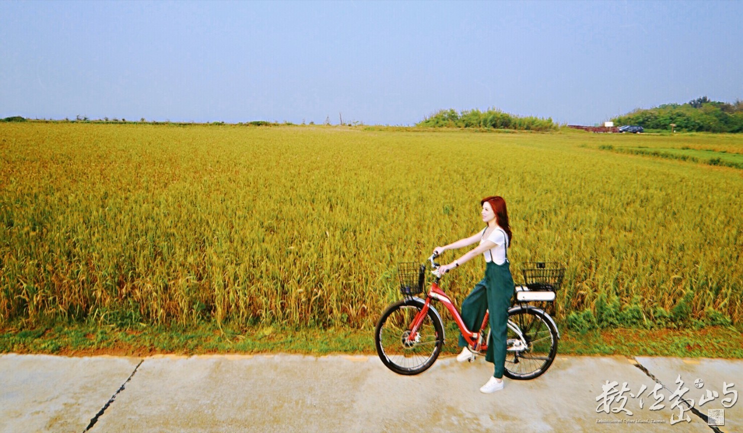 浯島輕鬆騎行之聞麥田香味喝麥香飲料