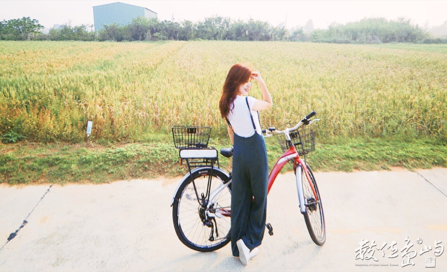 浯島輕鬆騎行之聞麥田香味喝麥香飲料