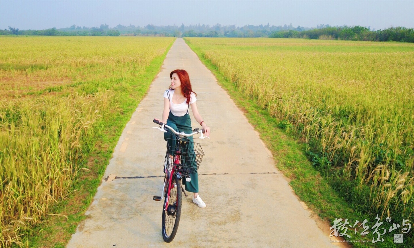 浯島輕鬆騎行之聞麥田香味喝麥香飲料