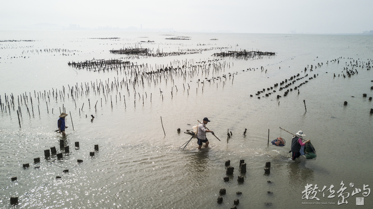 浯島地表最強的採蚵人