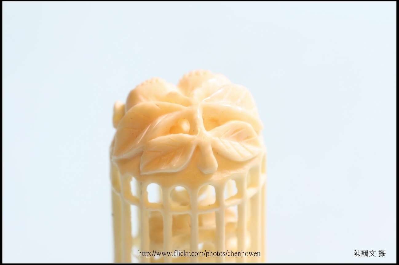 象牙雕_鳥與鳥籠_5