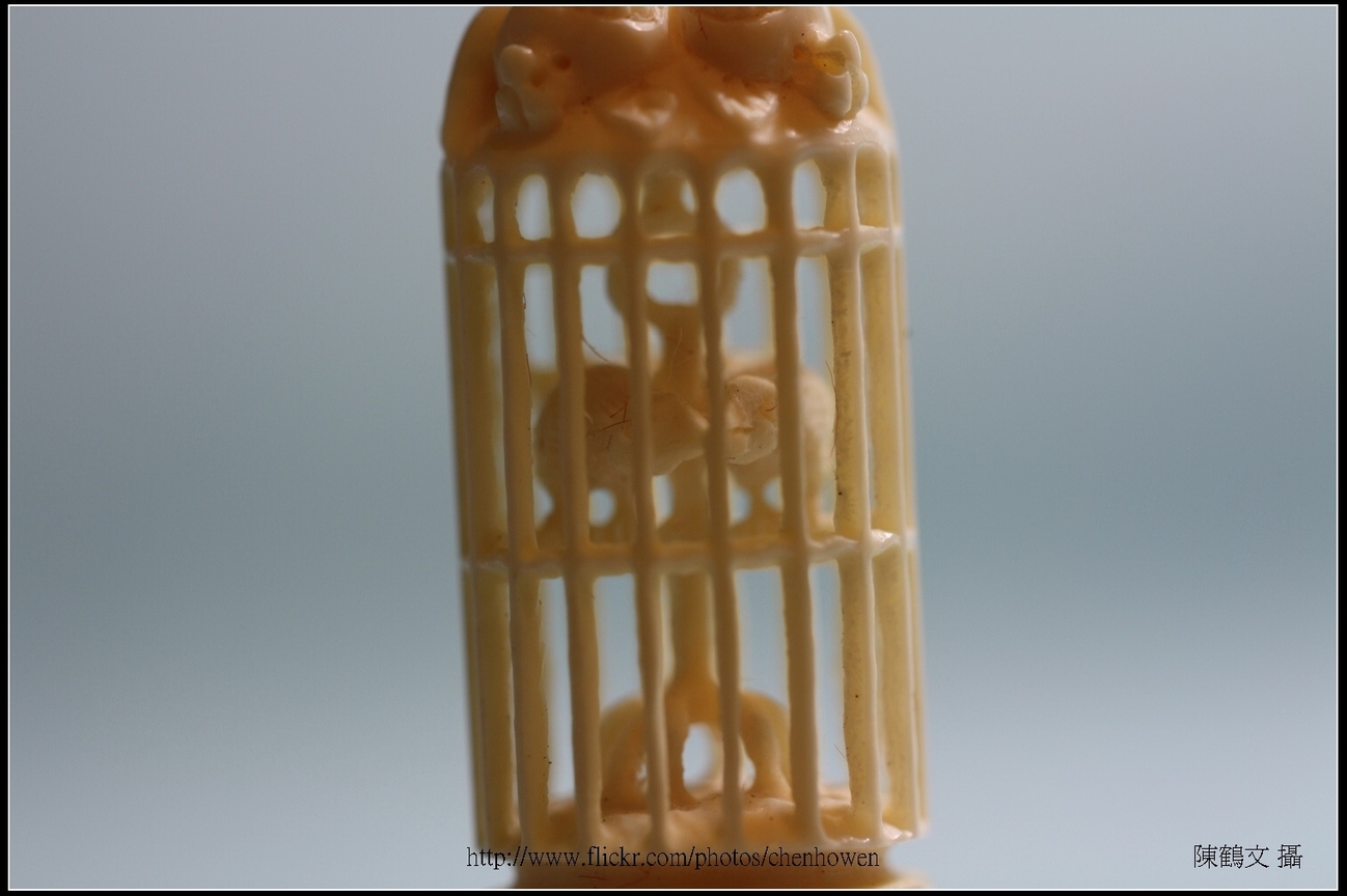 象牙雕_鳥與鳥籠_6