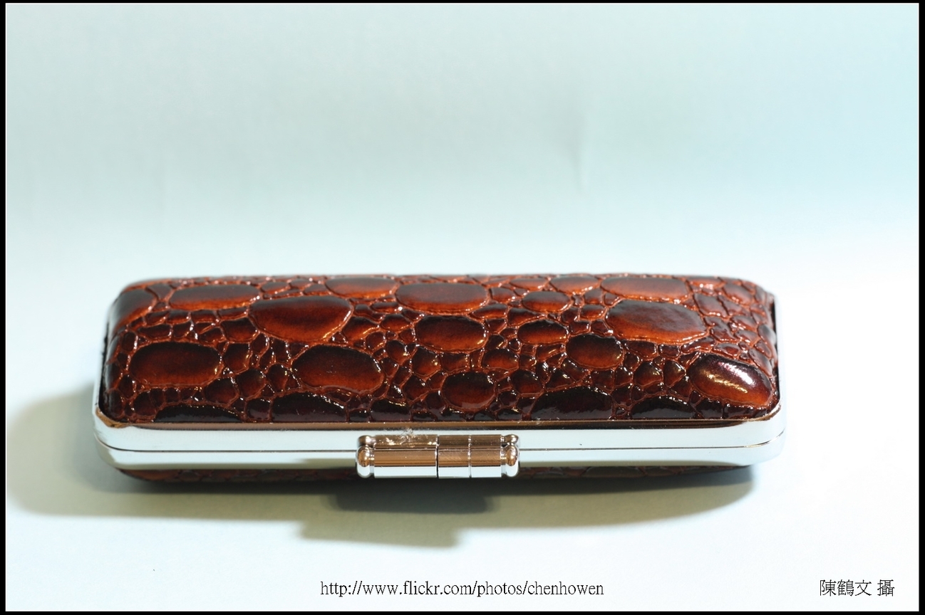 象牙雕_鳥與鳥籠_1