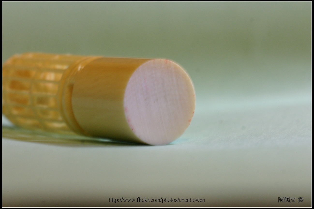 象牙雕_鳥與鳥籠_10