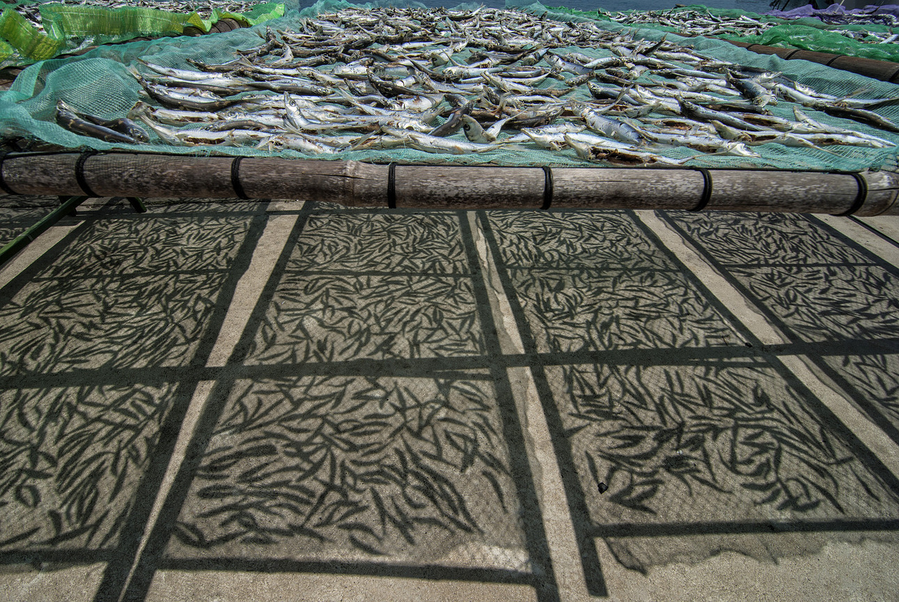 夏天澎湖七美曬魚乾