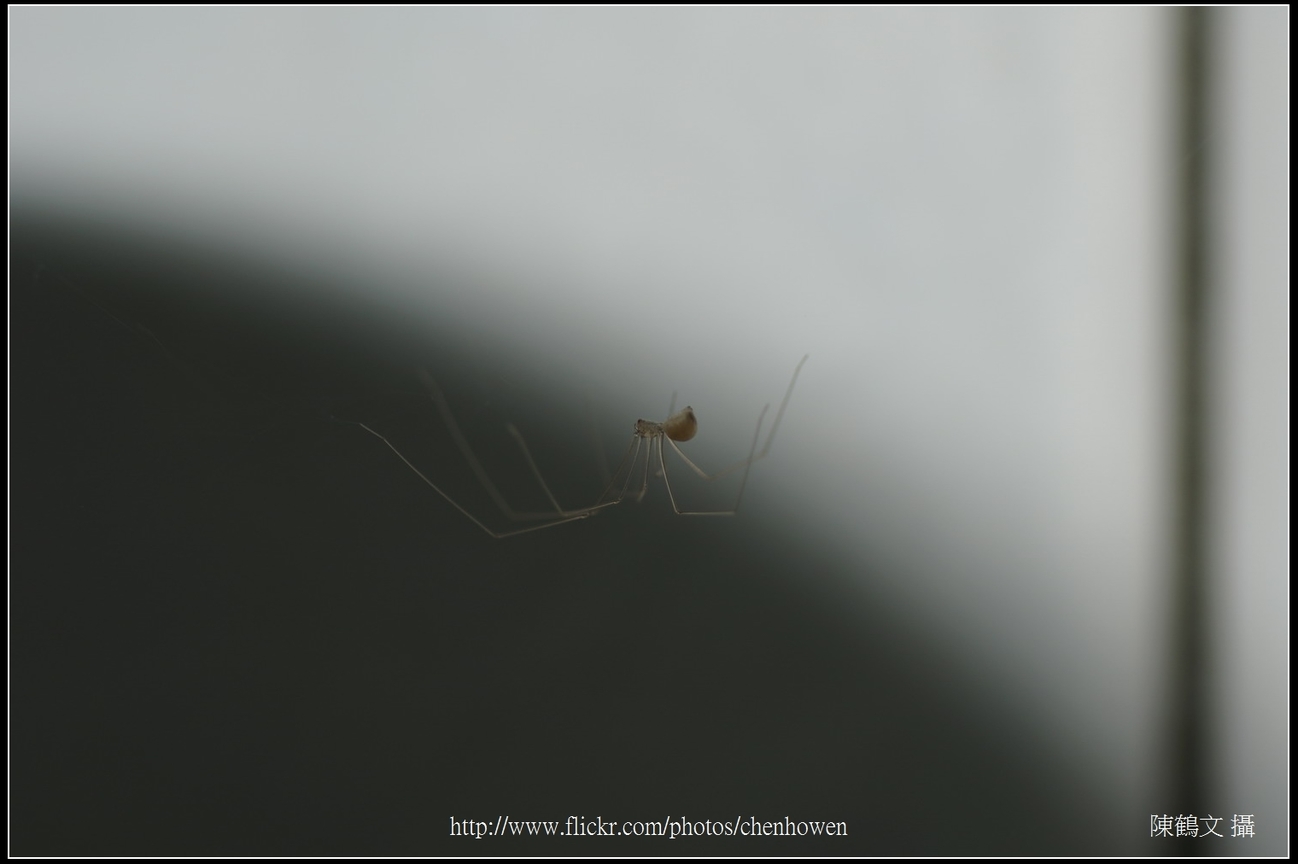 幽靈蜘蛛_特殊打光