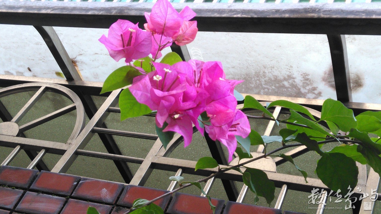 2015年0724台北_01.jpg