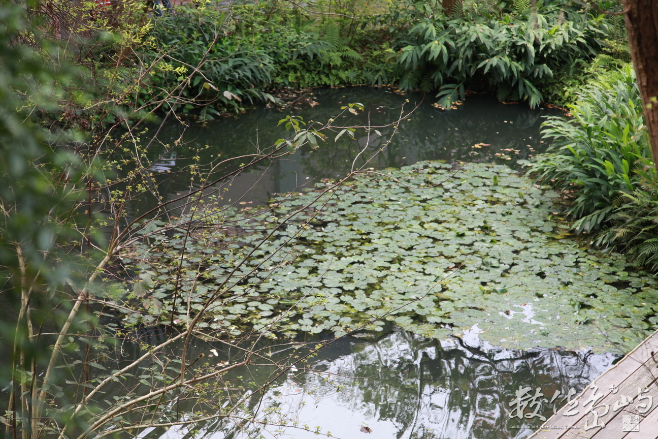 2016年0305宜蘭_33.JPG