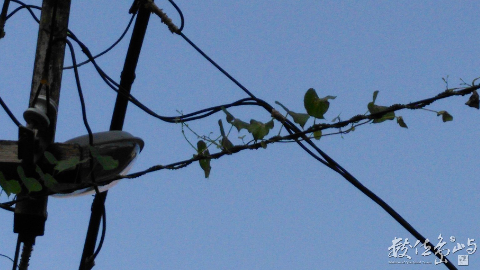 2015年0812台北_04.jpg