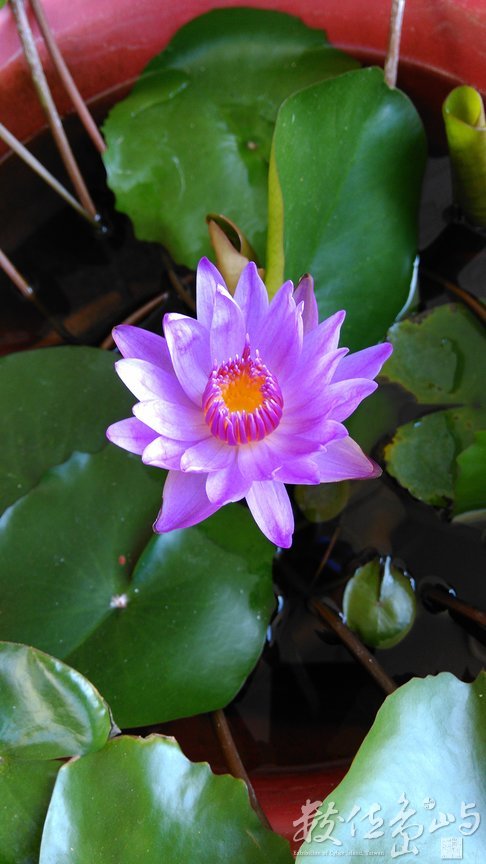 2015年0813台北_01.jpg