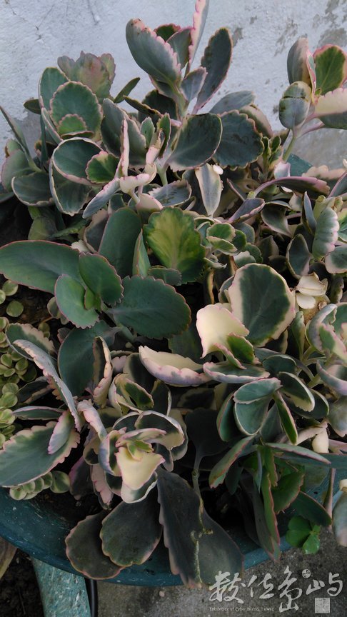 2015年0815台北_04.jpg