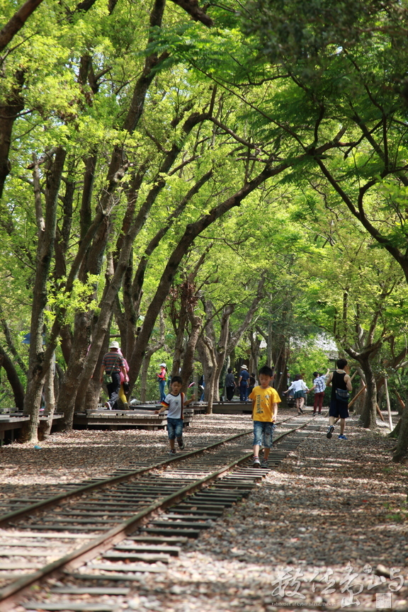 2015年0905宜蘭_58.JPG
