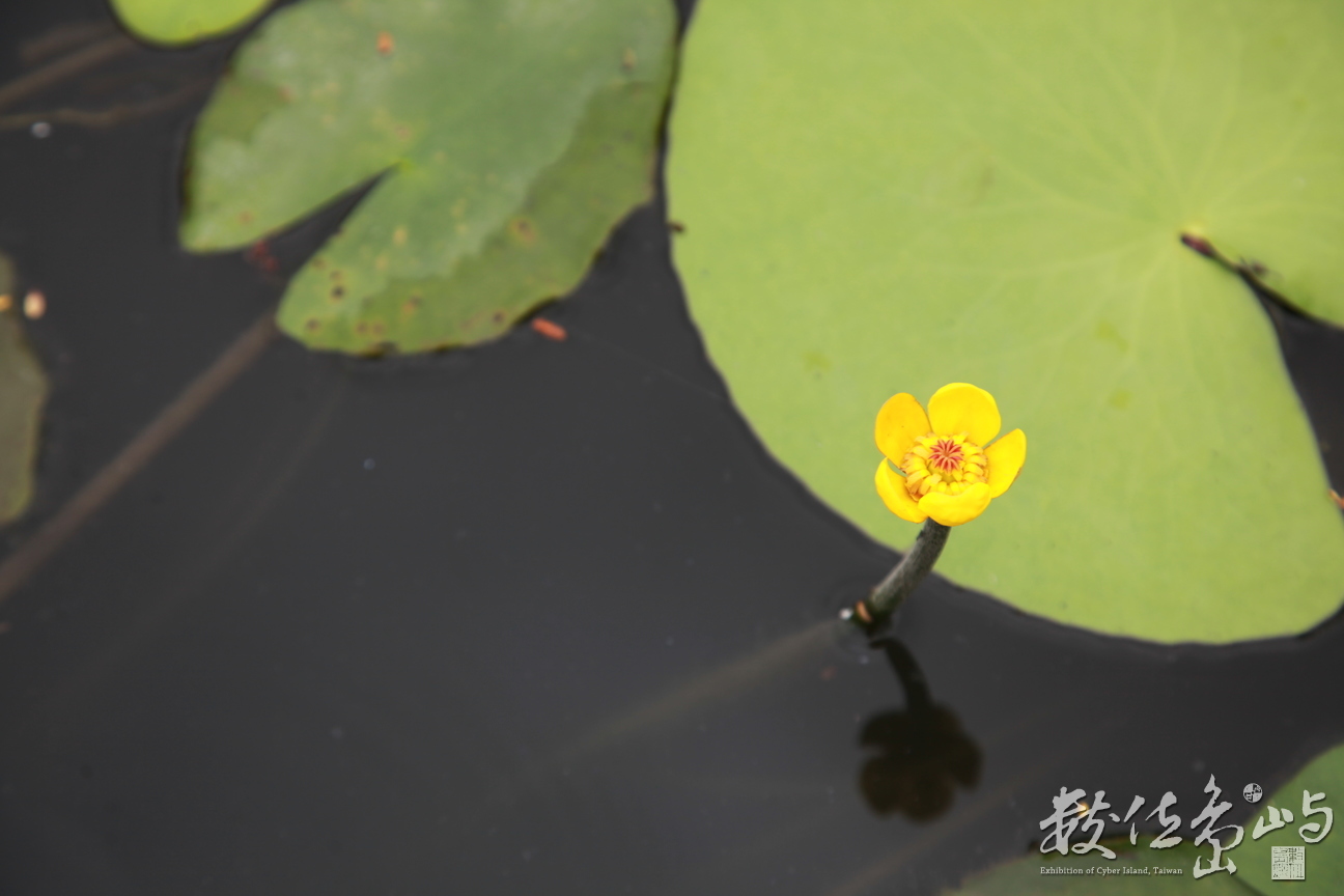 2015年0905宜蘭_36.JPG