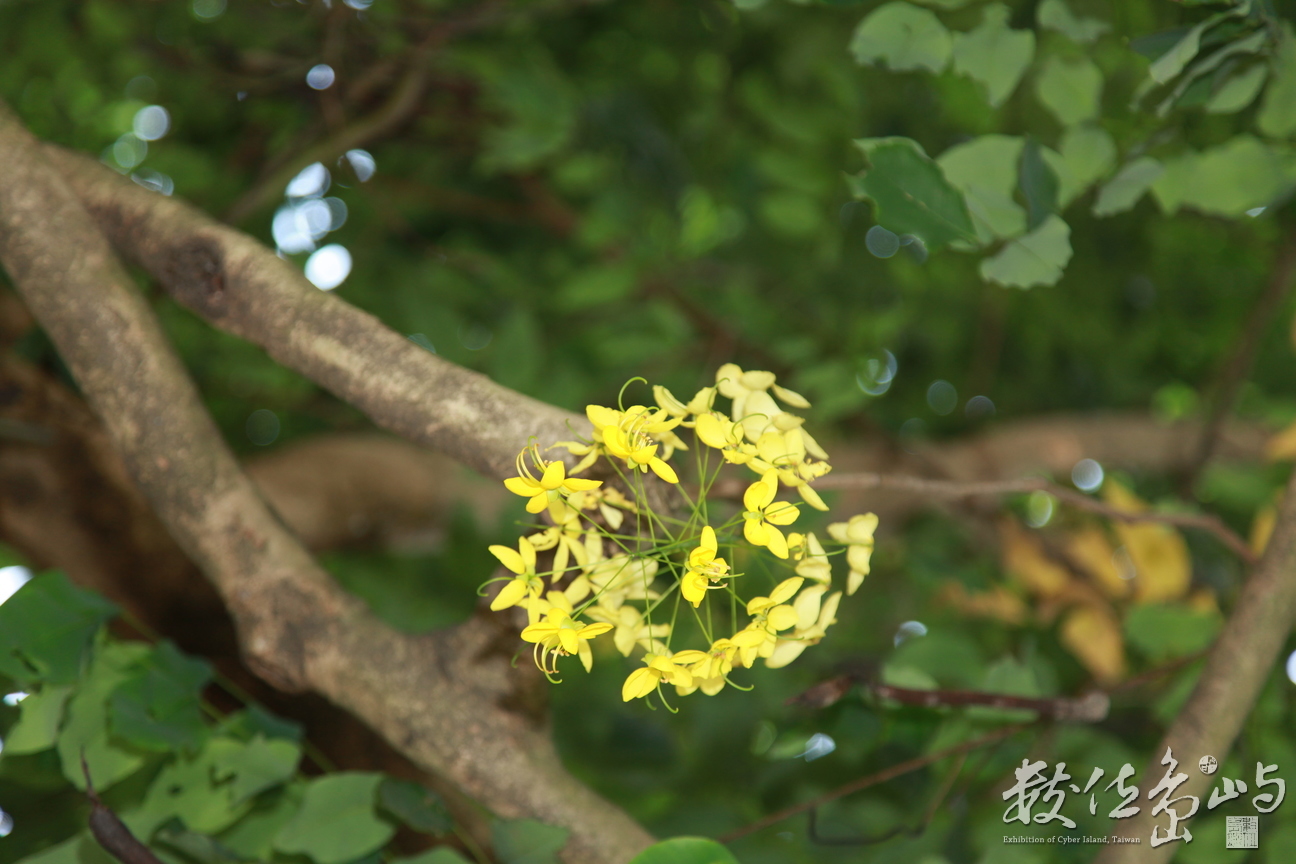 2015年0920台北2_01.JPG