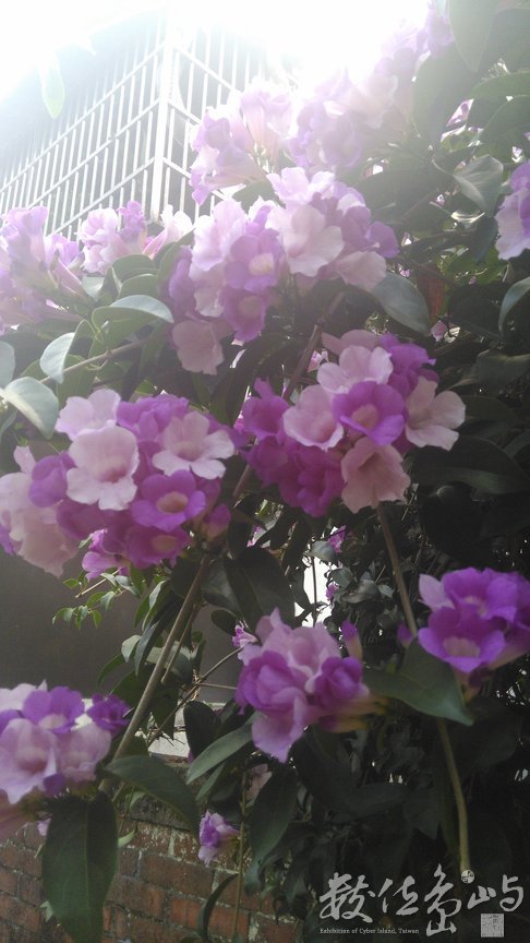 2015年0922台北_03.jpg