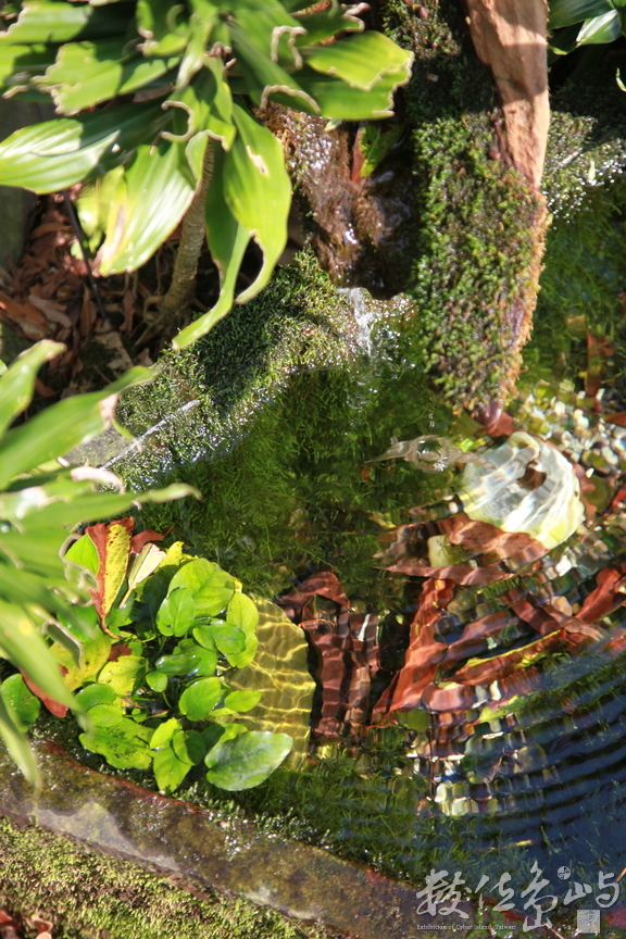 2015年0905宜蘭_77.JPG