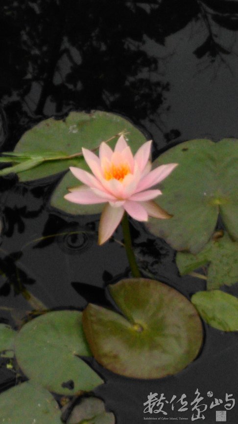 2015年0905宜蘭_06.jpg