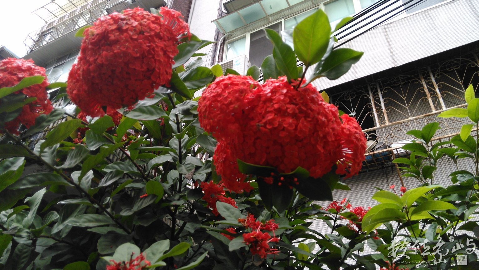 2015年0525台北_02.jpg