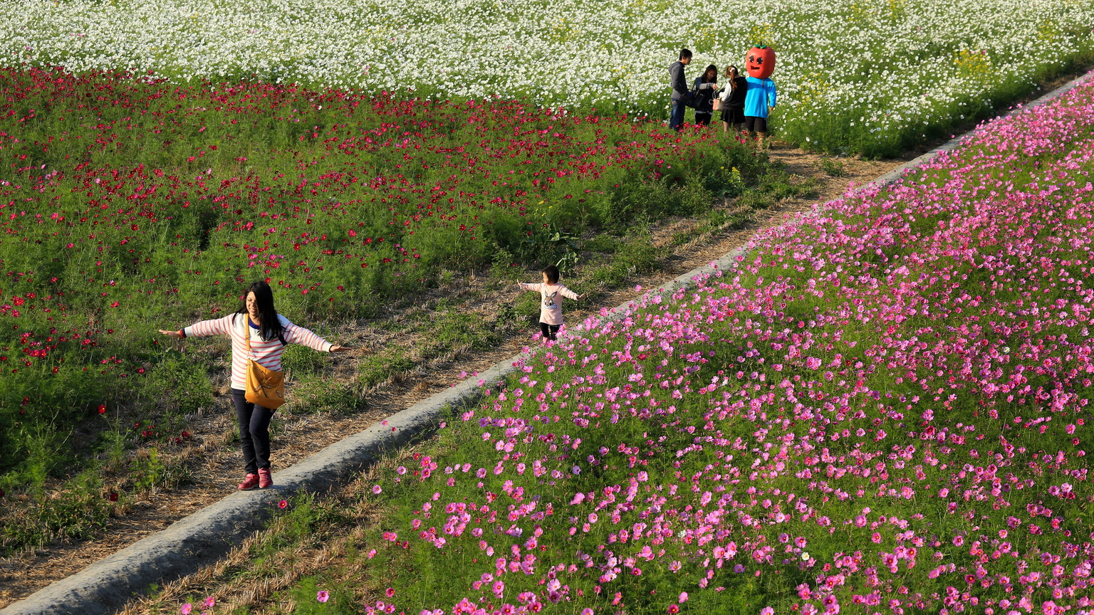 日安 日安 日日平安