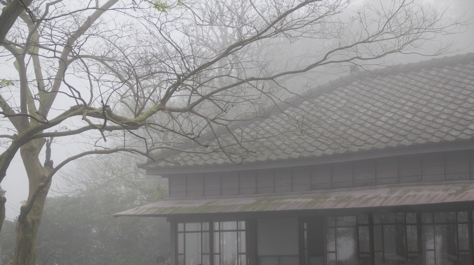 霧煙杳杳