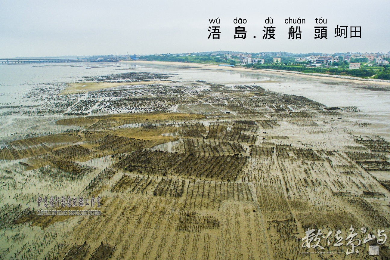 金門渡船頭蚵田